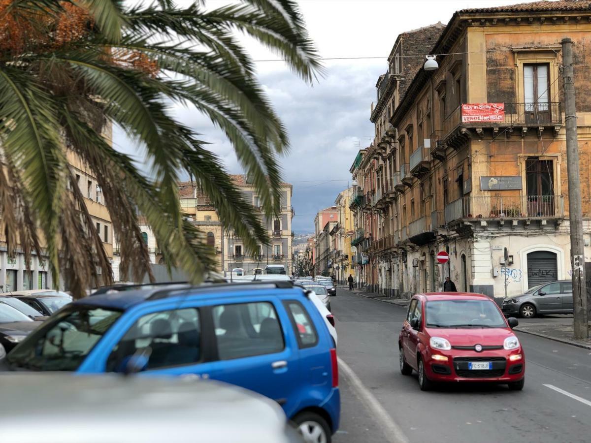 Musa Catania Bagian luar foto